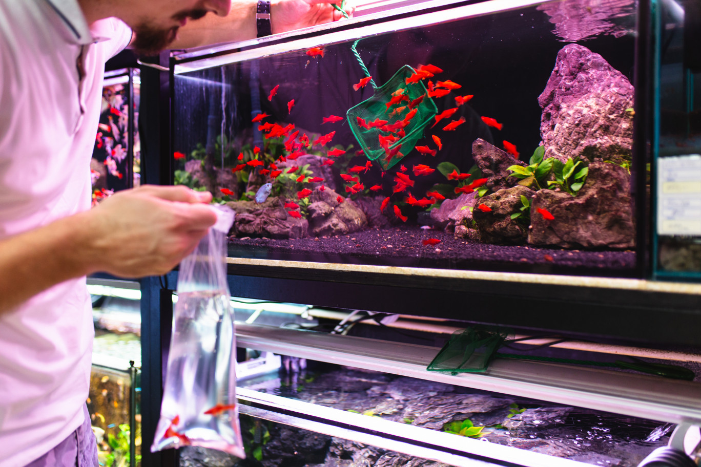 La gamme d'aquariums propose plus de produits, Service