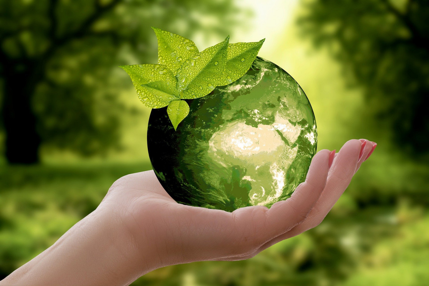 L'enjeu écologique concerne au premier chef le monde de l'entreprise. 