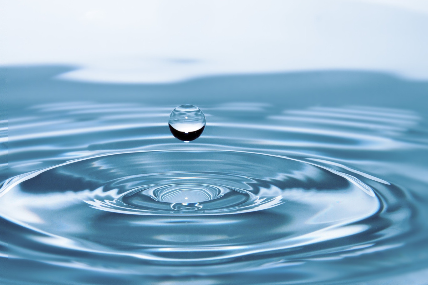 L'optimisation des consommations d'eau figure parmi les 18 critères relevant des Éco-défis.