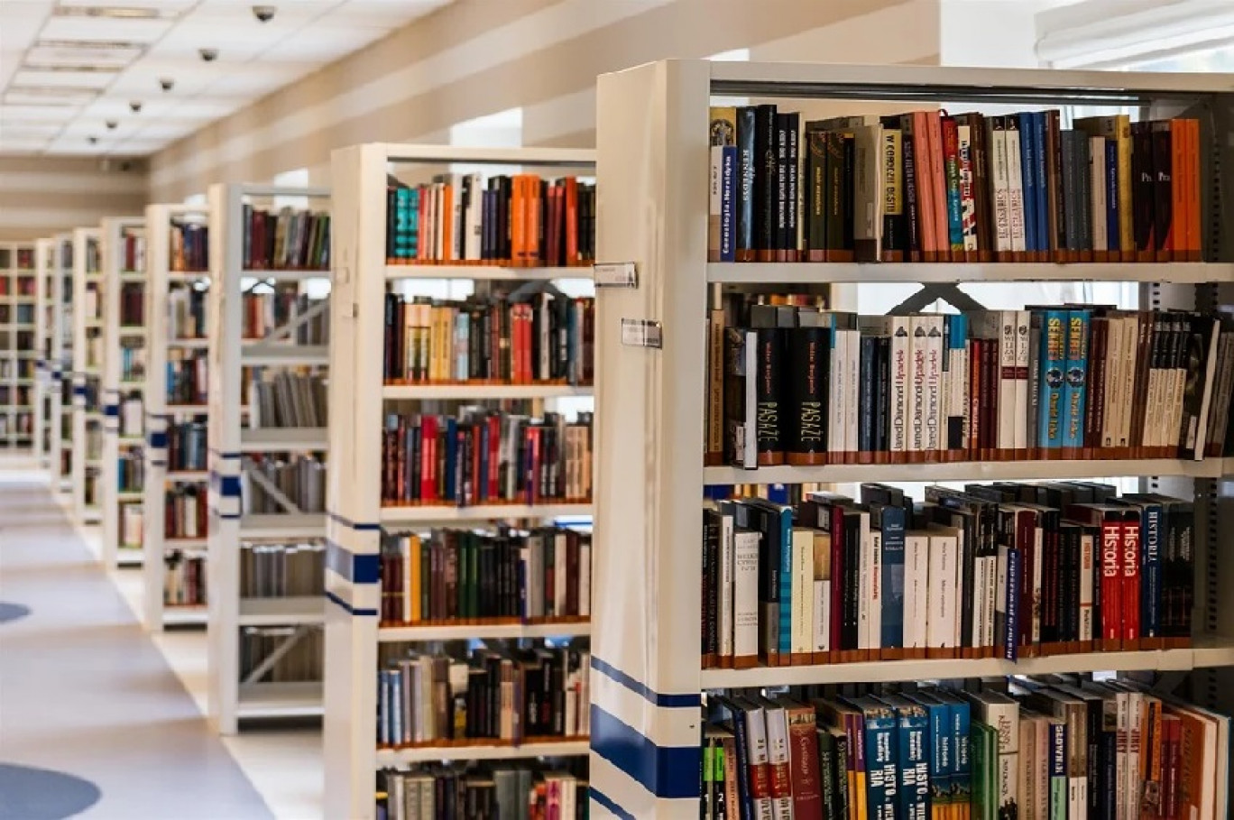 Sarrebourg : La bibliothèque Pierre-Messmer rouvre ses portes au public